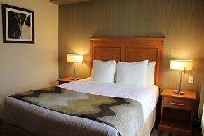 Best Western King George Inn & Suites