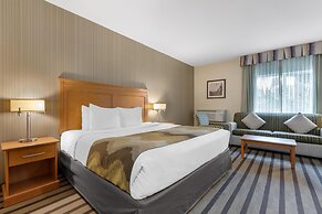 Best Western King George Inn & Suites