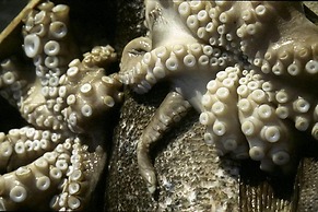 Itilo Traditional Hotel