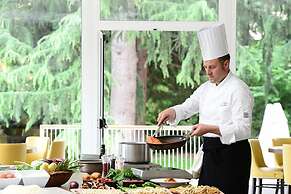 Silva Hotel Splendid Congress & Spa