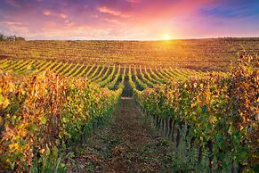 Hyatt Regency Sonoma Wine Country