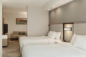 SpringHill Suites by Marriott Frankenmuth