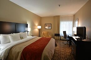 Comfort Inn & Suites Trussville I-59 exit 141