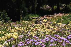 Silver King by All Seasons Resort Lodging