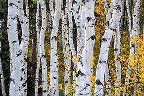 The Ritz-Carlton, Bachelor Gulch