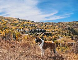 The Ritz-Carlton, Bachelor Gulch
