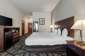 BEST WESTERN PLUS McKinney Inn & Suites