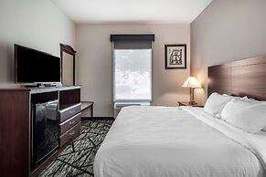BEST WESTERN PLUS McKinney Inn & Suites