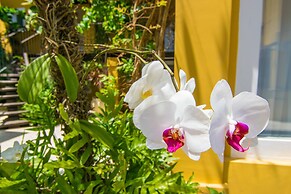 La Chimere Buzios Essence