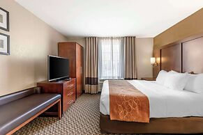 Comfort Suites Port Allen - Baton Rouge