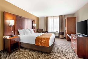 Comfort Suites Port Allen - Baton Rouge