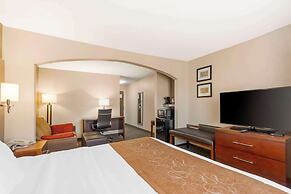 Comfort Suites Port Allen - Baton Rouge