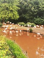 Copthorne Hotel Plymouth