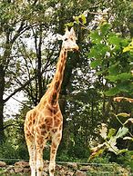 Copthorne Hotel Plymouth