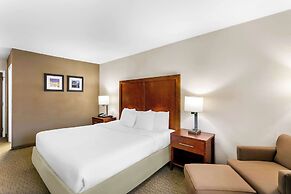 Comfort Inn Red Horse Frederick