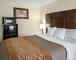 Comfort Inn & Suites at I-85