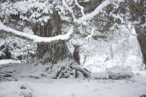 Dunalastair Hotel Suites