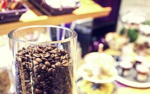 Mercure Paris Roissy Charles de Gaulle