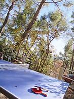 Le Mas des Ecureuils