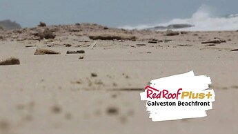 Red Roof Inn Plus+ Galveston - Beachfront