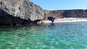 The Westmarine Waterfront Hotel