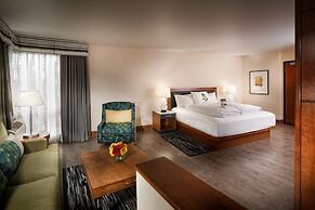 Staypineapple, Watertown Hotel, University District Seattle