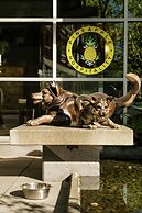 Staypineapple, Watertown Hotel, University District Seattle