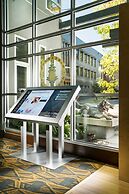 Staypineapple, Watertown Hotel, University District Seattle