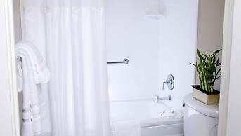 The Zen Hotel Palo Alto