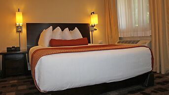 The Zen Hotel Palo Alto