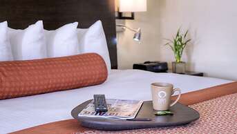 The Zen Hotel Palo Alto