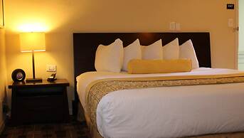 The Zen Hotel Palo Alto