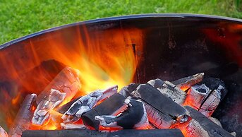 The Zen Hotel Palo Alto