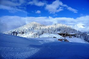 Chalet Hotel Du Bois