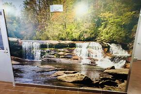 Clarion Pointe Albemarle