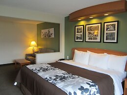 Sleep Inn And Suites Albemarle