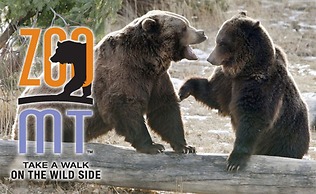 Boothill Inn And Suites