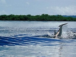 Punta Caracol Acqua Lodge