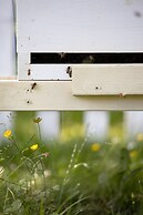 voco Oxford Thames by IHG