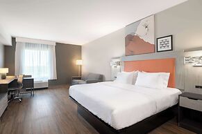 Spark by Hilton Destin