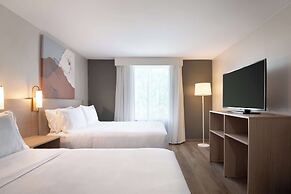 Spark by Hilton Destin