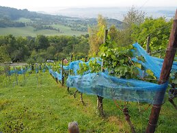 Ringhotel Hasen Herrenberg