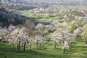 Ringhotel Hasen Herrenberg