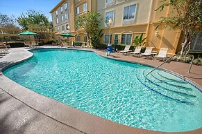 La Quinta Inn & Suites by Wyndham USF (Near Busch Gardens)
