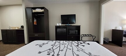 Sleep Inn & Suites Birmingham - Hoover