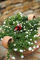 Adina Apartment Hotel Budapest