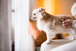 Sheraton Mallorca Arabella Golf Hotel