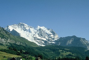 Hotel Falken