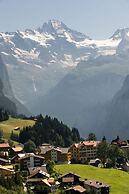 Hotel Falken