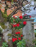 Econo Lodge Inn & Suites